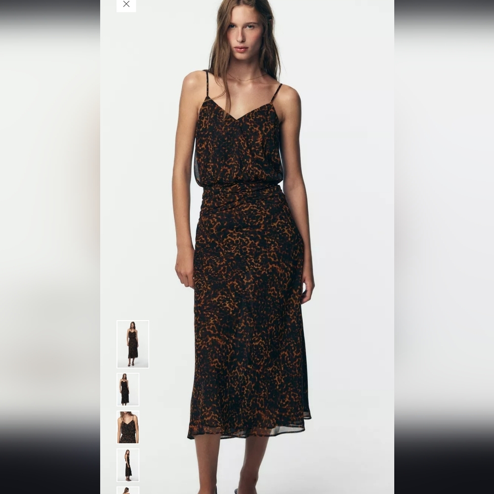 Zara Leopard Print Midi Dress